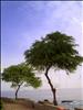 Landscape,Santiago Island, Cape Verde